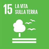 Logo SDG -  vita sulla terra